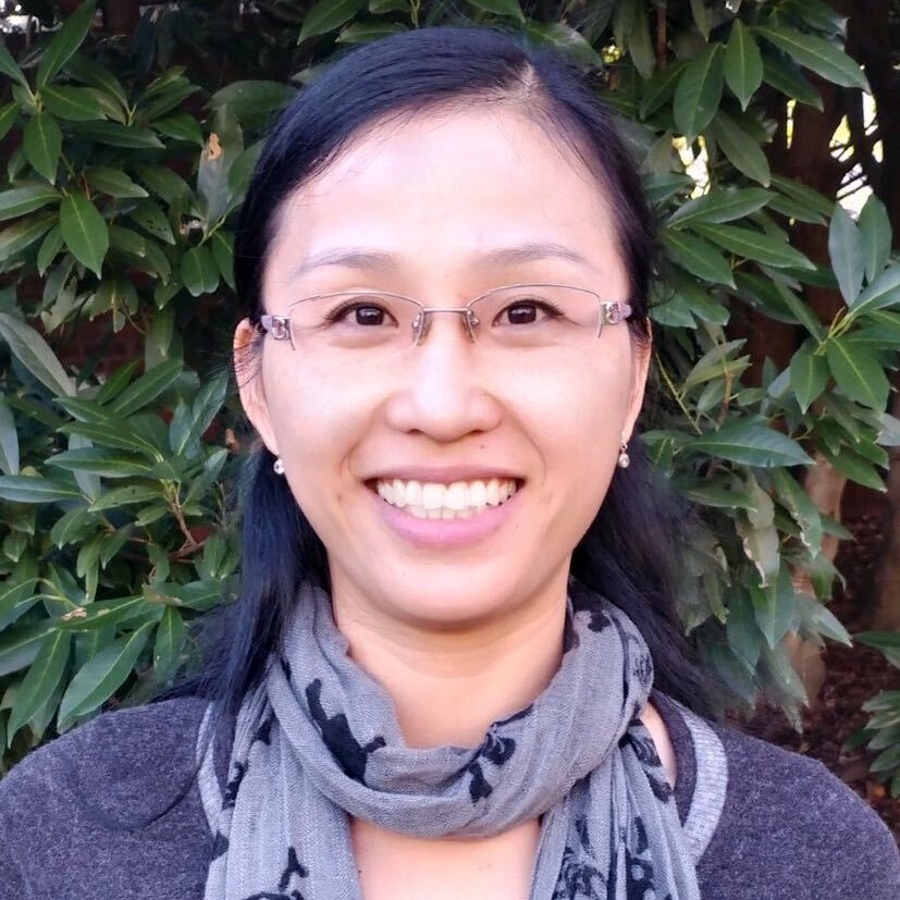 HIPP - Shaojun Mei